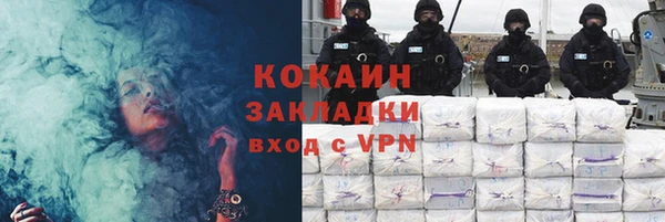 трава Няндома