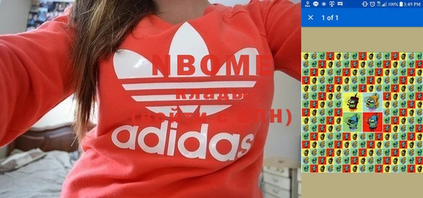 трава Няндома