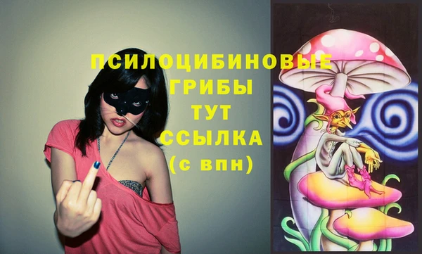 герыч Нязепетровск