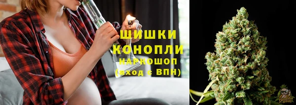 ALPHA PVP Новодвинск