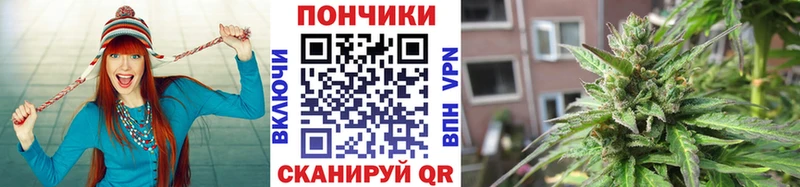 закладки  Покачи  Конопля OG Kush 